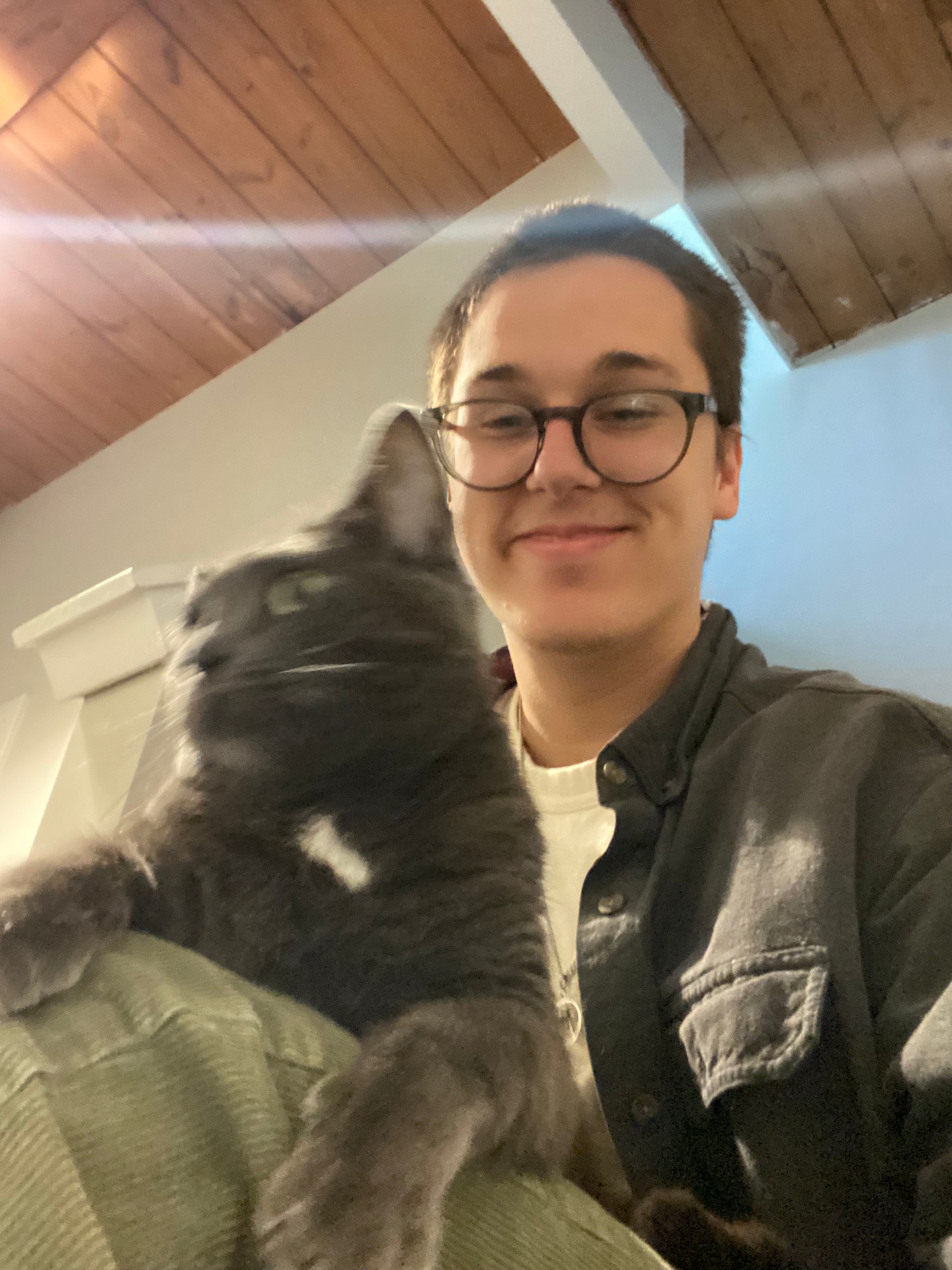 With my cat